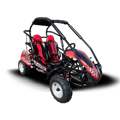 TrailMaster Blazer 200R Mid Go-Kart