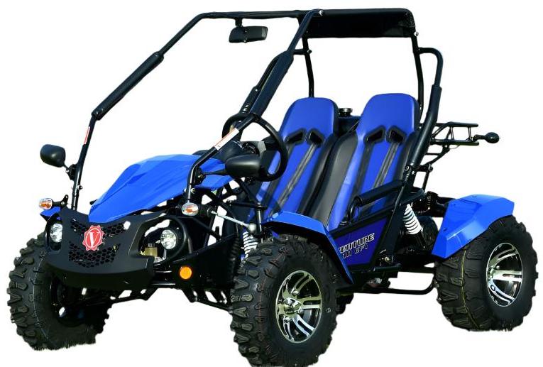 Venture 200 EFI Buggy Go Kart, Electric Start, Automatic with Reverse, Ages 16 and up