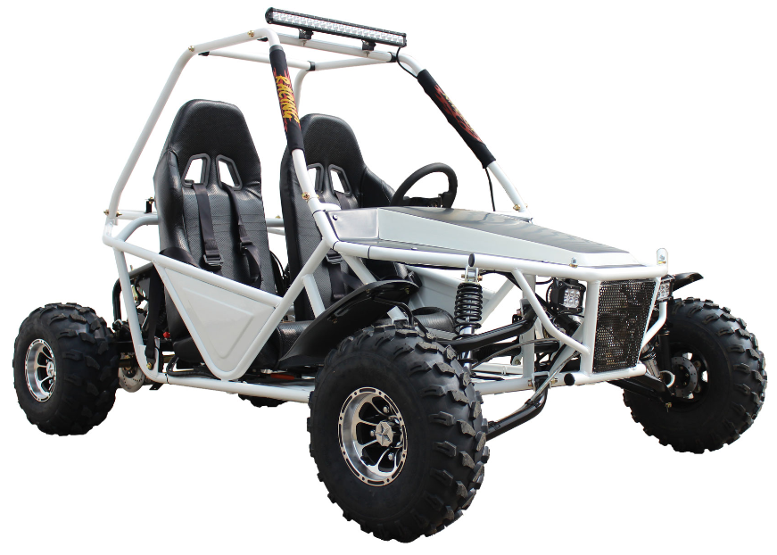 Batman 200 DLX Buggy Go Kart, Electric Start, Automatic with Reverse, 10-inch Alloy Wheels, Ages 16 and up