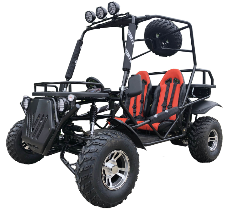 Rancher 200DLX Buggy Go Kart, Electric Start, Automatic with Reverse, 10-inch Deluxe Alloy Wheels, Ages 16 and up